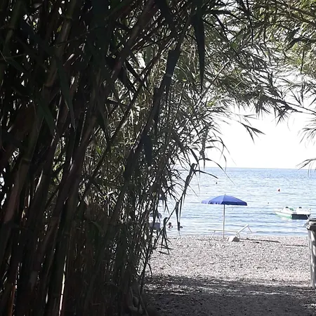 Elbamare Con Piscina * Nisporto